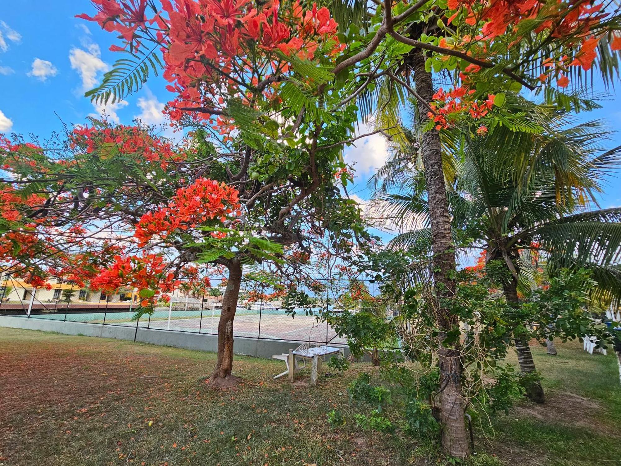 Condominio Cabo Frio Exteriér fotografie